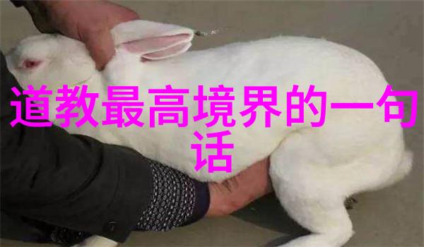 藏医胚胎学跨越56个民族的智慧宝库排名表上闪耀着传统医学的光芒
