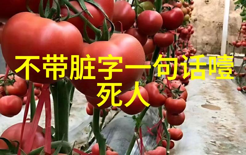 女强人的心机无欲则刚的她背后