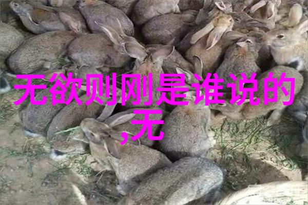 道家鼻祖之谜老子与道德经的智慧传承