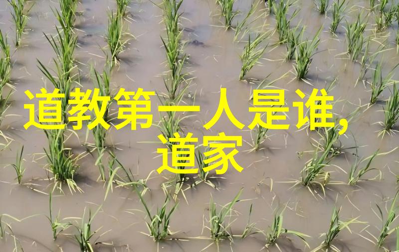 心灵深处的迷雾入魔修行的救赎之路