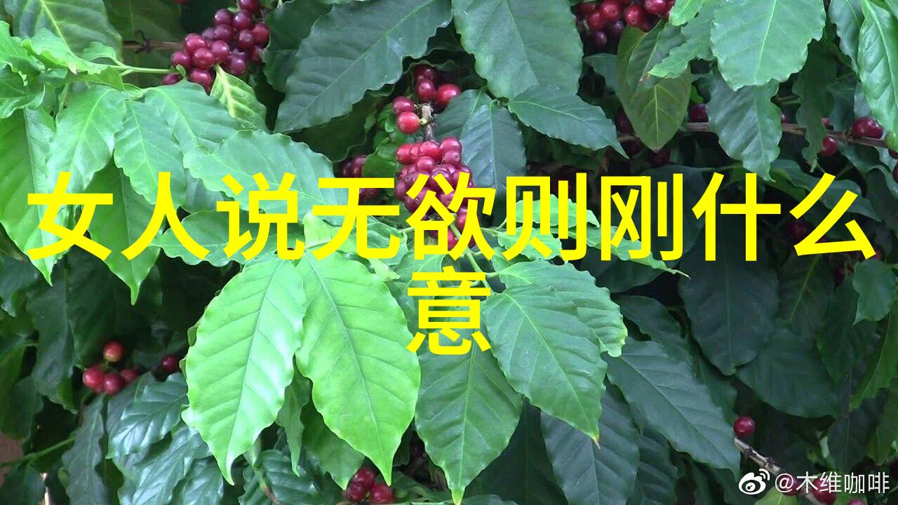 道家婚书老夫子送给新人的一封信