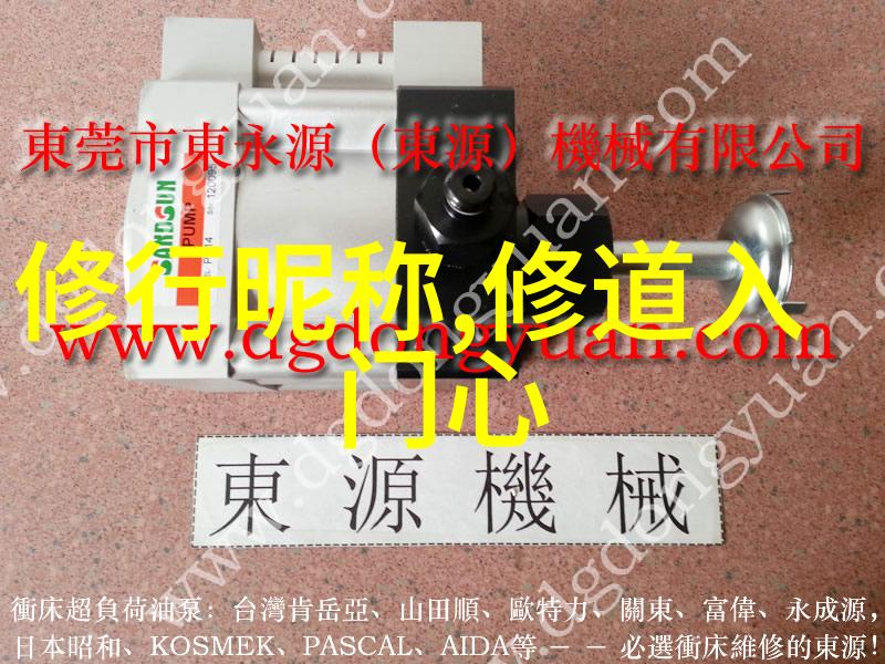 在不同文化背景下修道的发展和体验又是怎样的多样性存在