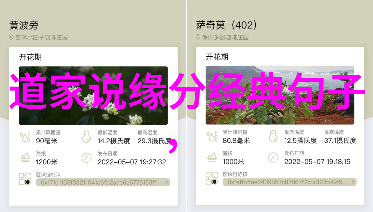 子曰予欲无言的赏析难道是对话语权的深刻反思