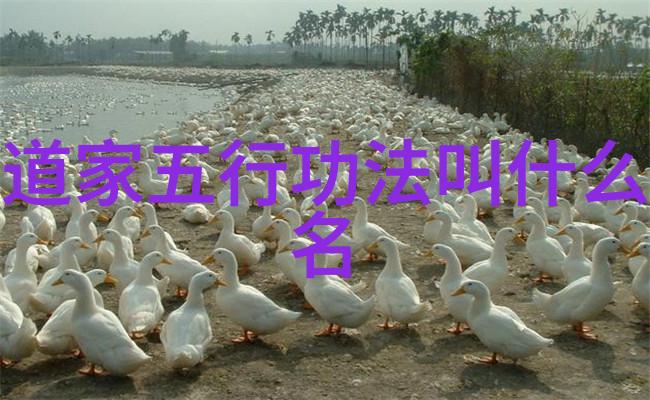 陈寔编撰列女传道家的女性形象塑造