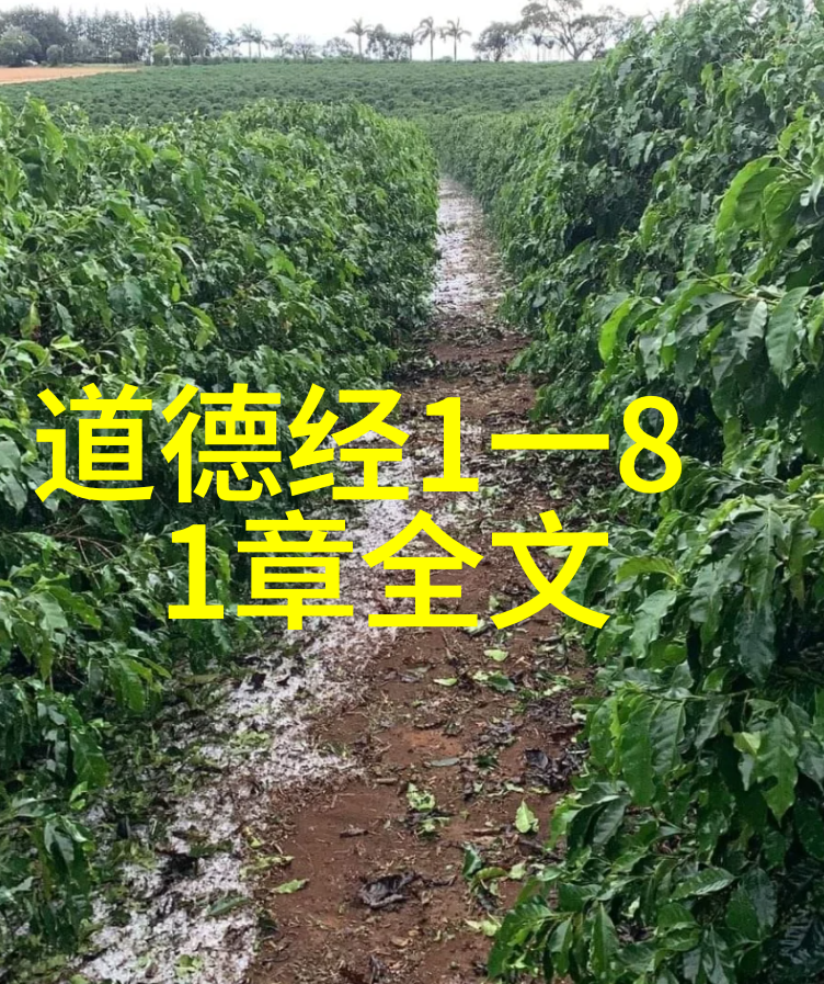 老子道德经的智慧何在其哲学思想如何指导现代人面对复杂世界