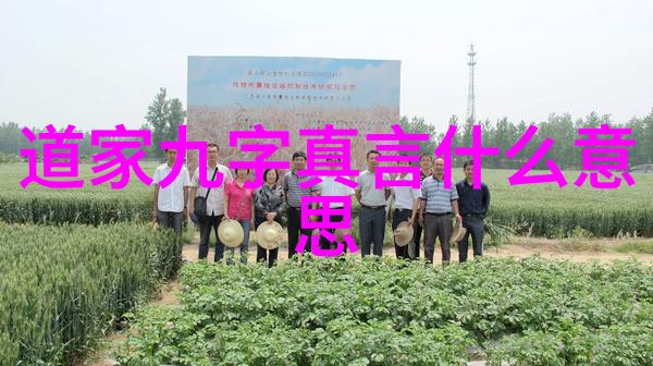 无为而治 - 道法自然探索无不为而为无为而不为的智慧
