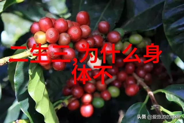 心理学视角下的心无欲则刚现象研究