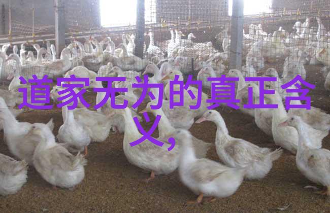 诗意盎然唐代诗人的自然景观描绘