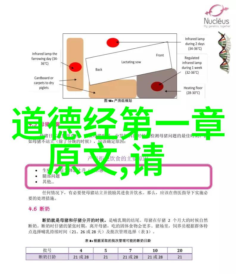 历代道家代表人物探索智慧的光芒与文化的传承