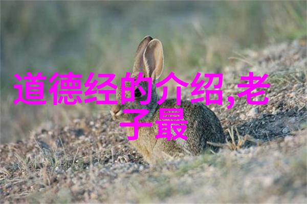 无为而治原则下的政治实践指南