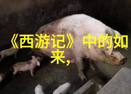 道家名字-寻觅天地之韵探秘古代道家的雅号与命名艺术