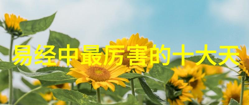 老子的道德经至今仍被怎样解读和实践