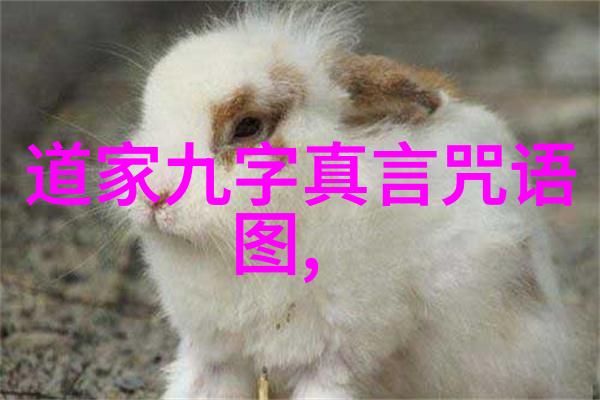 什么是道教的基本修行法门能否详细介绍
