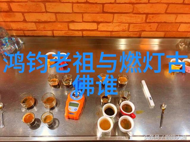 道家智者张岱年与中国现代的内在探索