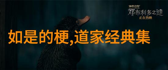 心如止水如何在忙碌中保持无欲则刚的平和心态