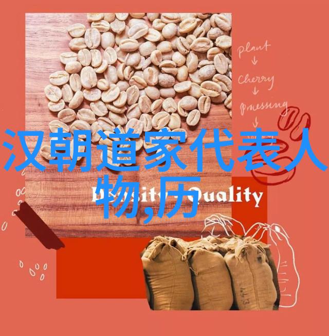如何将法字下的智慧应用于当代教育体系中
