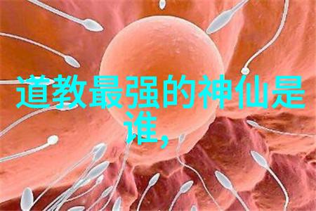永恒的心灵与无尽的探索道不生与欲不灭的哲学探究