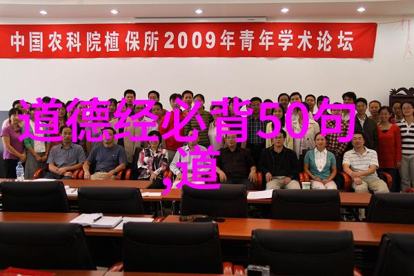 道德经第二章的哲学内涵探究智慧与自然之对话