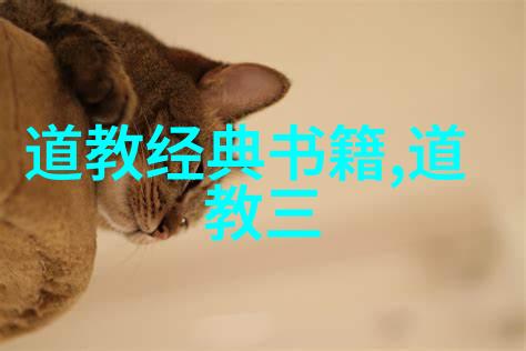 道教神秘世界仙君高下之争
