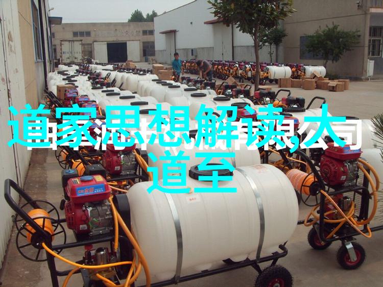 道教经典中的智慧之光解读道德经中天地不仁以万物为刍狗一句的深意