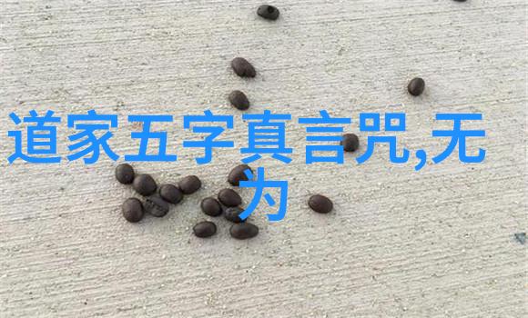 道德高尚的楷模探索人格魅力与社会责任感的统一