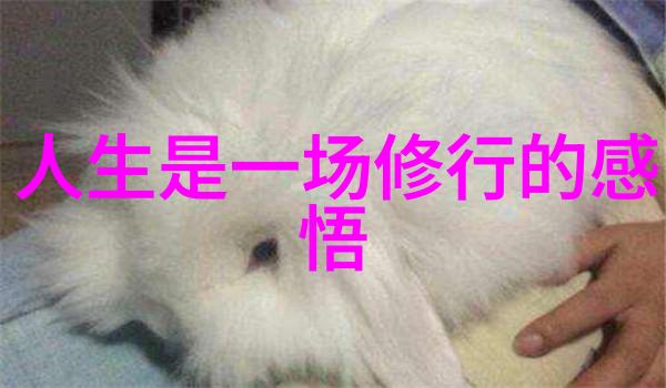 道家文化的基本特征悠悠古风里的哲学智慧与自然和谐