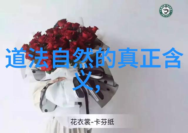 探寻星辰之痕揭秘自我天命的迷雾之旅