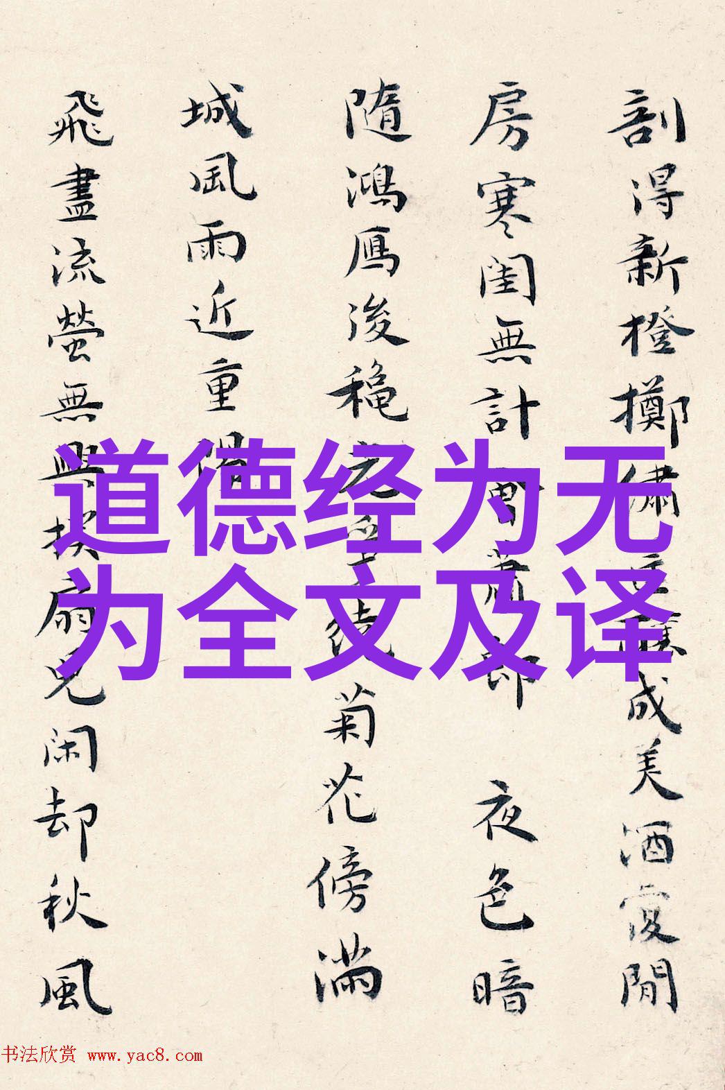 在追求成功的道路上我们又该怎样避免忽视了自己的心理健康和情感需求呢