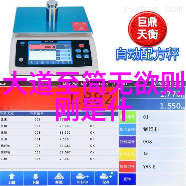 道家大师李洪志的智慧与实践