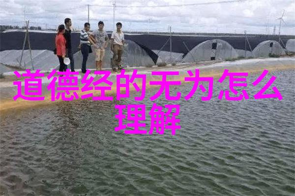 隐世高手黄庭坚在道教修炼中的秘密是什么