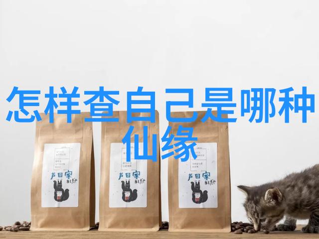 道教修炼之路道家人物是如何通过修炼达到内心平静的