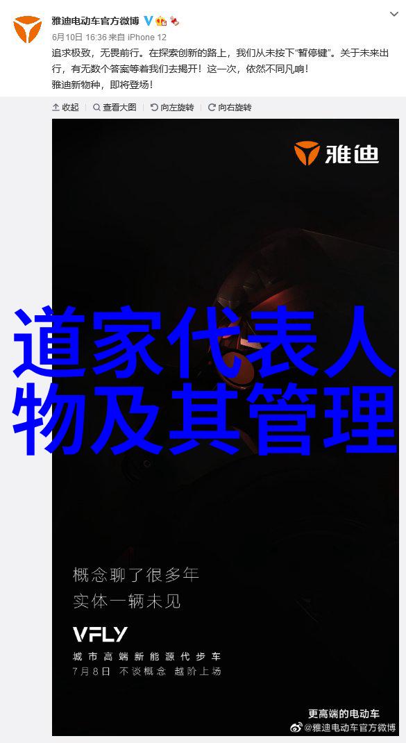 老子的无为而治理念在道家经典中的体现