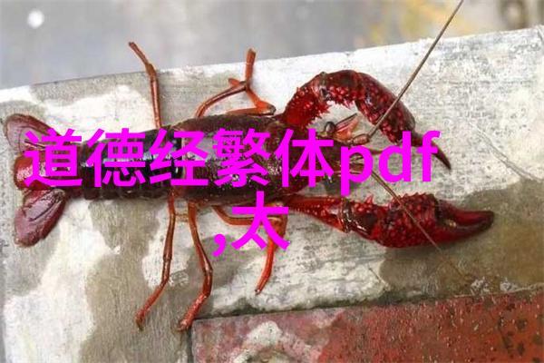 谁是太上老君菩提祖师中更为厉害的一方