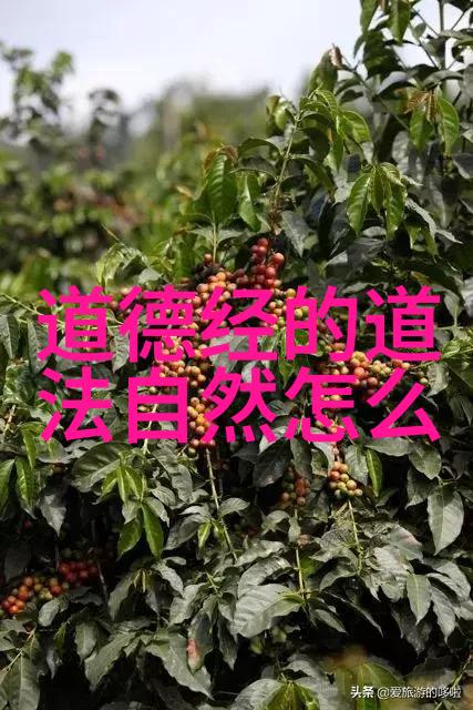 女生倾心解读大道至简的哲学与生活智慧