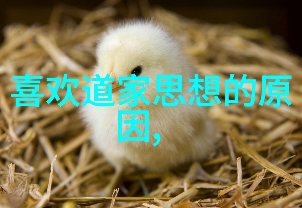 王弼与庄子解读深入理解道家的哲理