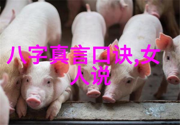 对道教的看法2000字我眼中的道教探索与体悟