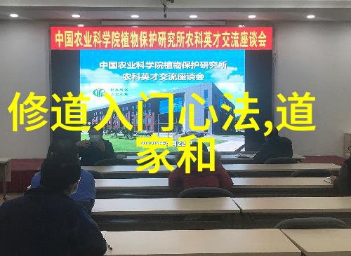 精神胜利在逆境中寻找无不的力量