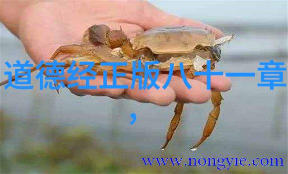 女生迈开腿让男生吃草莓她轻盈一笑我不情愿地成了那个吃了草莓的傻瓜