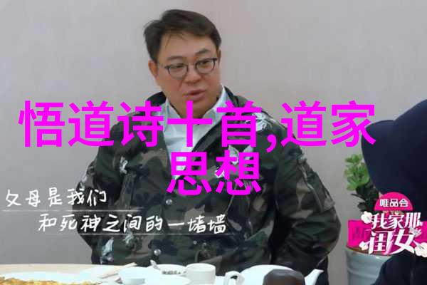 冰心诗歌精选300首现代抒情之旅的启示