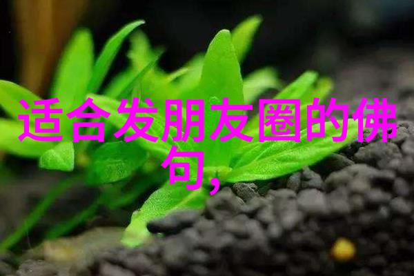 老子哲学中的霸气智慧探索道的力量与内涵