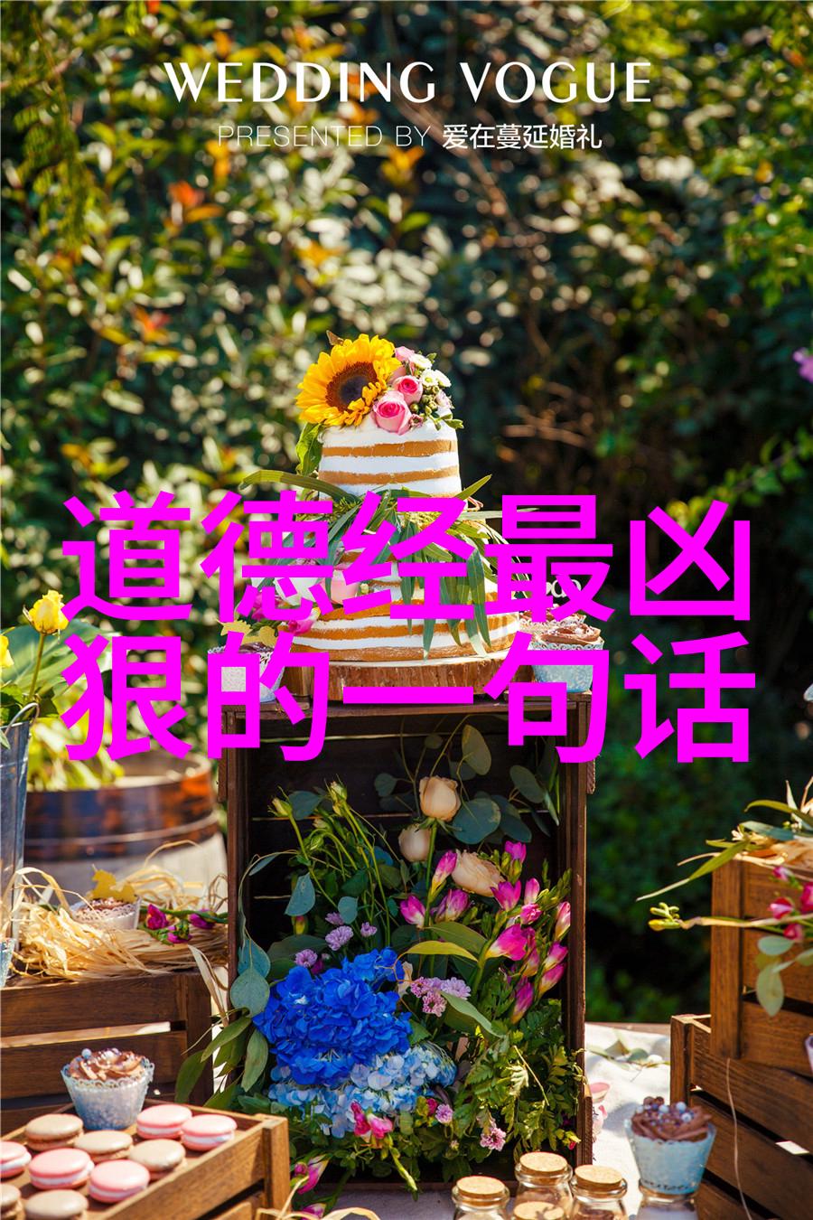 道家先贤智慧的探索者们