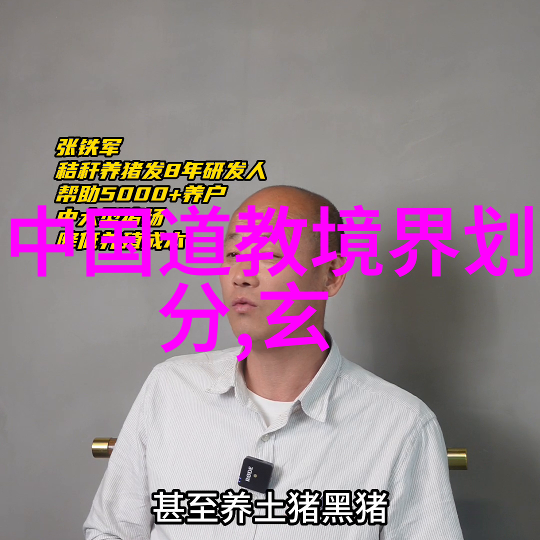 气功禁令背后的原因探究国家安全与民众健康的考量