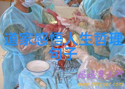 道家学的是如何看待宇宙的运行规律