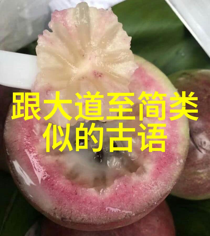 老子道德经智慧的幽默古籍