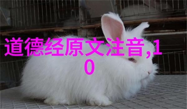道教三大经典之谜揭开道德经庄子和列仙传的神秘面纱