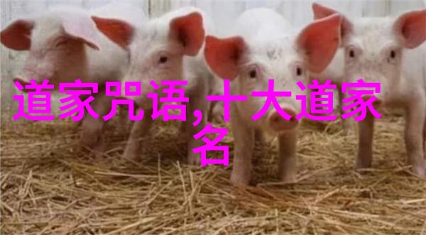 道教祖师周敦颐道家哲学的重要传承者