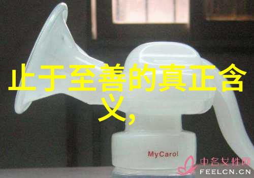 无尽的智慧天地不仁以万物为刍狗