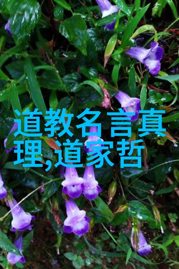 道家文化遗产探索历代道家代表人物的精神传承