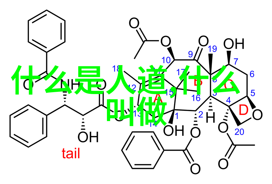 探索慈悲之巅人间恩爱的终极礼赞