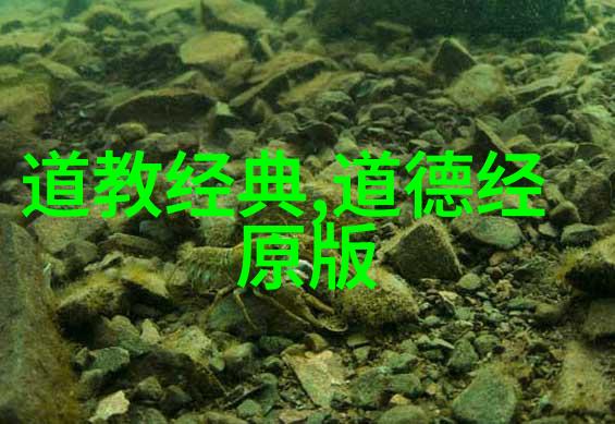 道家哲学自然之道的智慧探索